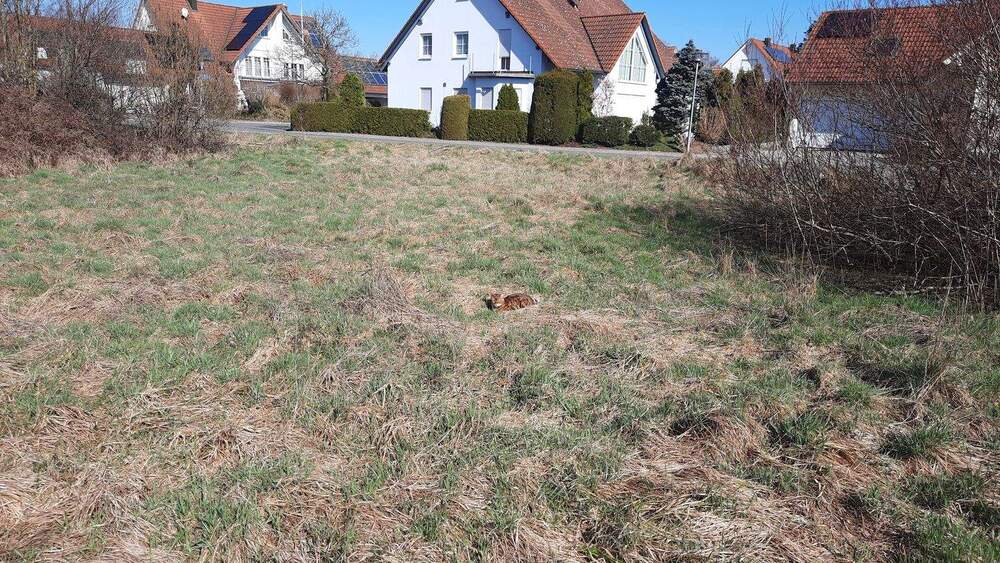 Grundstück Mühlhausen - 395.000&euro; | Angebot:24027153