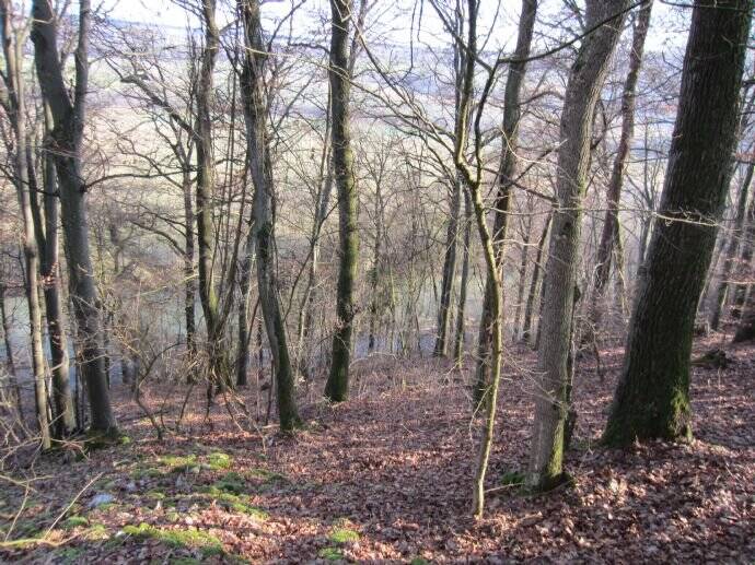 Grundstück Widdern - 25.000&euro; | Angebot:25700084