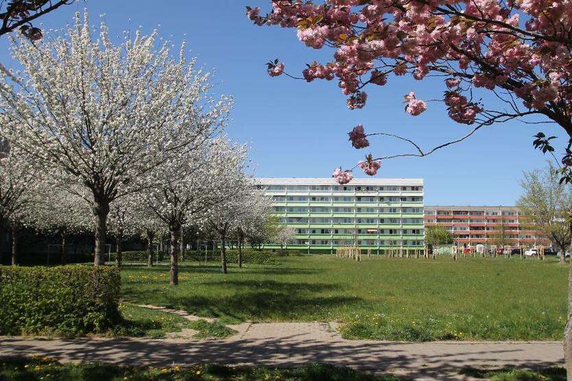Wohnung zum Mieten in Bernburg 388,52 € 70.64 m²