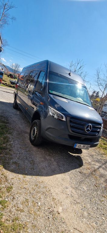 Sprinter