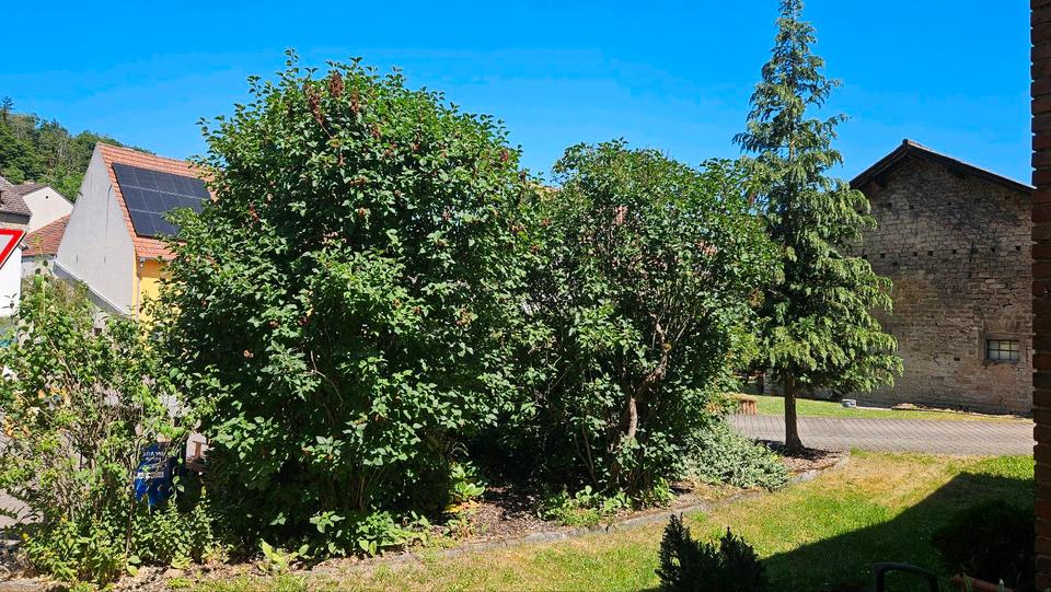 Bauernhaus, Landhaus Staudernheim - 3 Zimmer, 110 m&sup2;, 125.000&euro; | Angebot:26948852