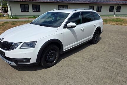 Skoda Octavia 294.000 km 8.800 &euro; Groß Kreutz OT Jeserig 14550