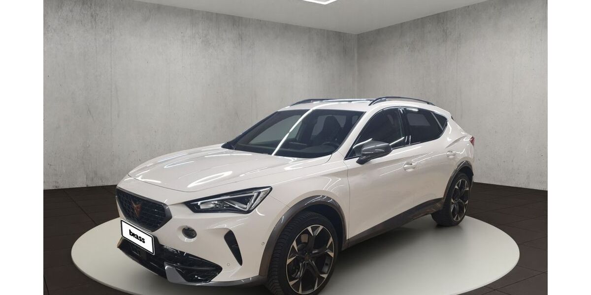 Cupra Formentor 40.617 km 33.450 &euro; Aschaffenburg 63739