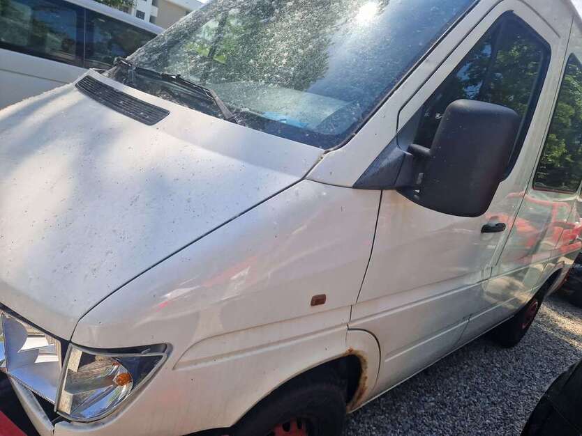Sprinter