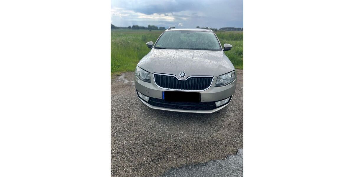 Skoda Octavia 249.842 km 5.950 &euro; Gnoien 17179
