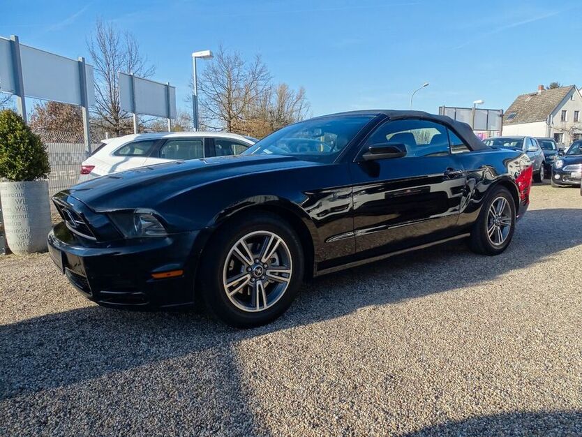 Mustang