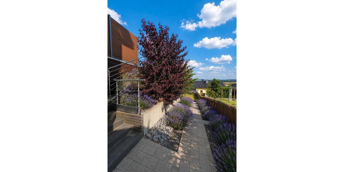 Einfamilienhaus Balve - 880.000&euro; | Angebot:27129549