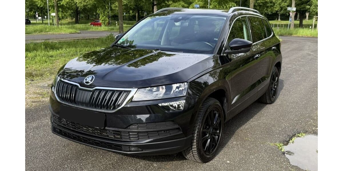 Skoda Karoq 113.500 km 17.500 &euro; Kassel 34117