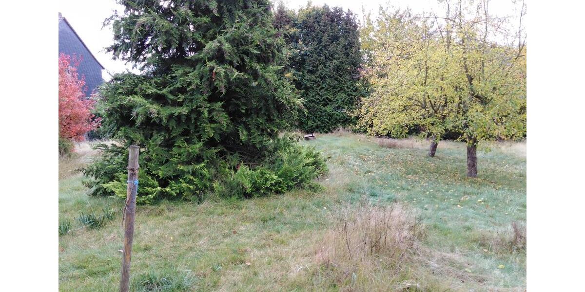 Mehrfamilienhaus, Wohnhaus Uslar - 10 Zimmer, 220 m&sup2;, 99.000&euro; | Angebot:25272960