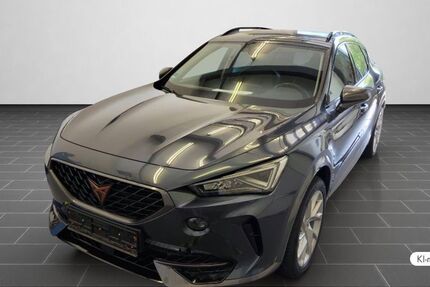 Cupra Formentor 30.235 km 24.980 &euro; Mainz 55129