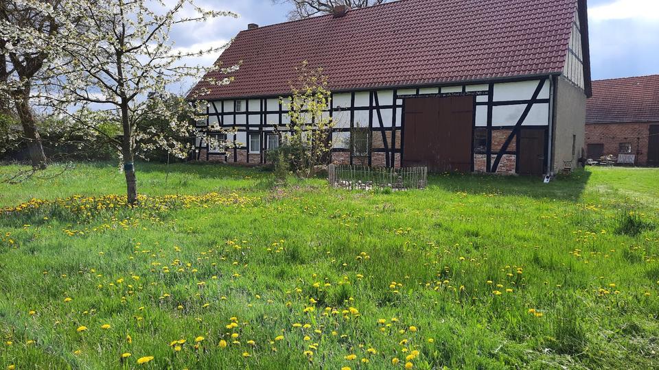 Bauernhaus, Landhaus Seehausen (Altmark) - 5 Zimmer, 110 m&sup2;, 95.000&euro; | Angebot:25973444