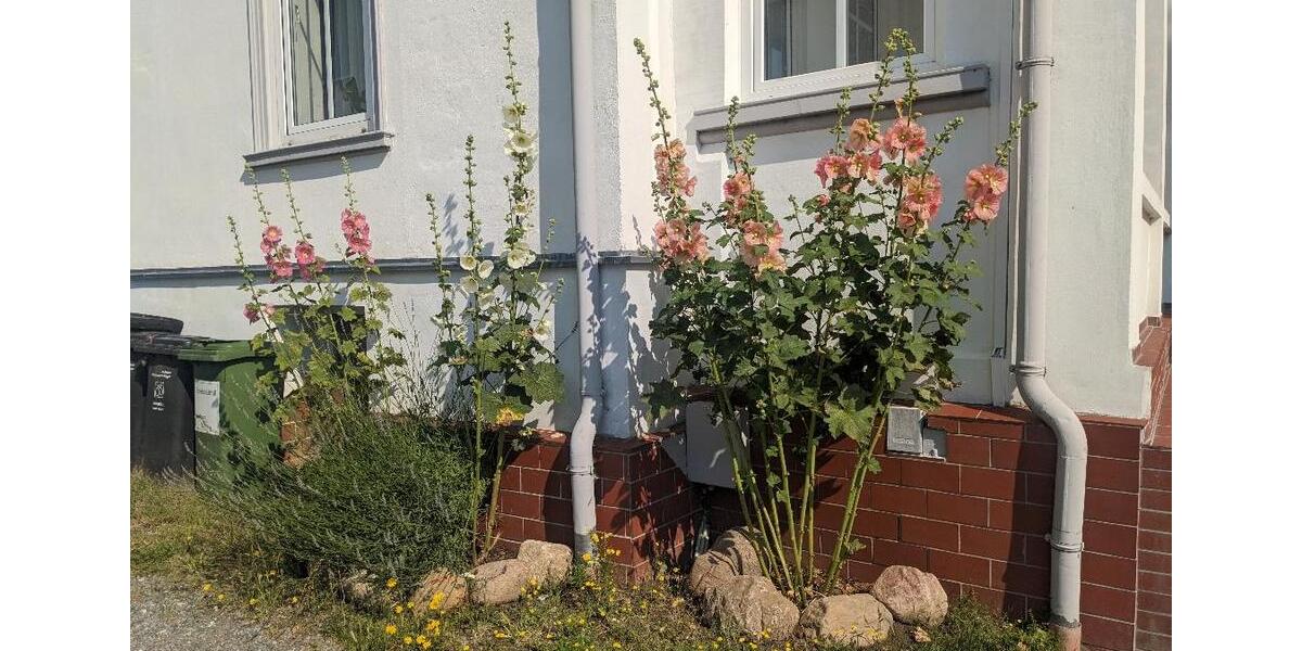 Einfamilienhaus Sellin - 1.555.550&euro; | Angebot:26870131