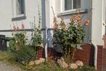 Einfamilienhaus Sellin - 1.555.550&euro; | Angebot:26870131