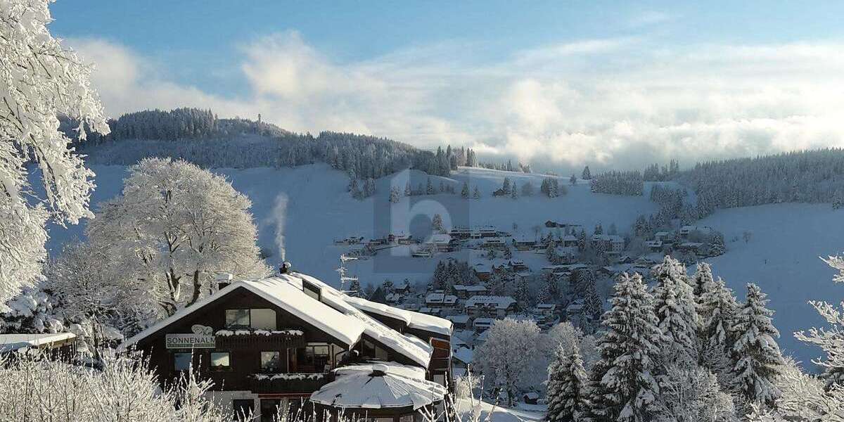 Gewerbeobjekt Todtnau - 1.290.000&euro; | Angebot:26398332