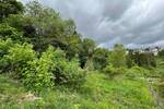 Grundstück Nordhalben - 29.000&euro; | Angebot:25734049