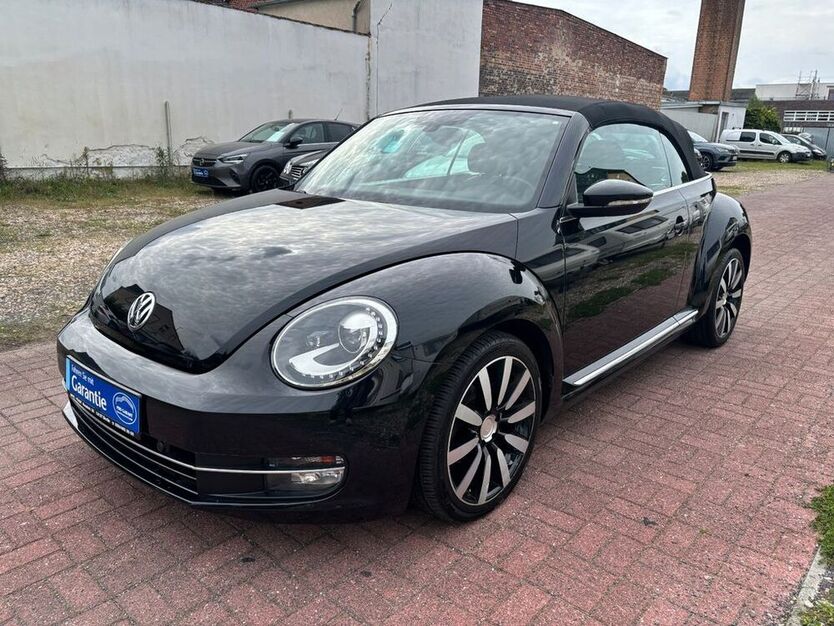 Beetle