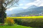 Bungalow Ainring Perach - 5 Zimmer, 143 m&sup2;, 760.000&euro; | Angebot:26345516