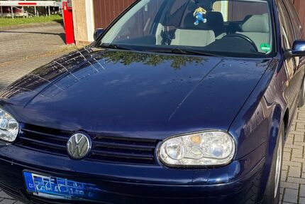 VW Golf 116.624 km 3.650 &euro; Dresden 01217