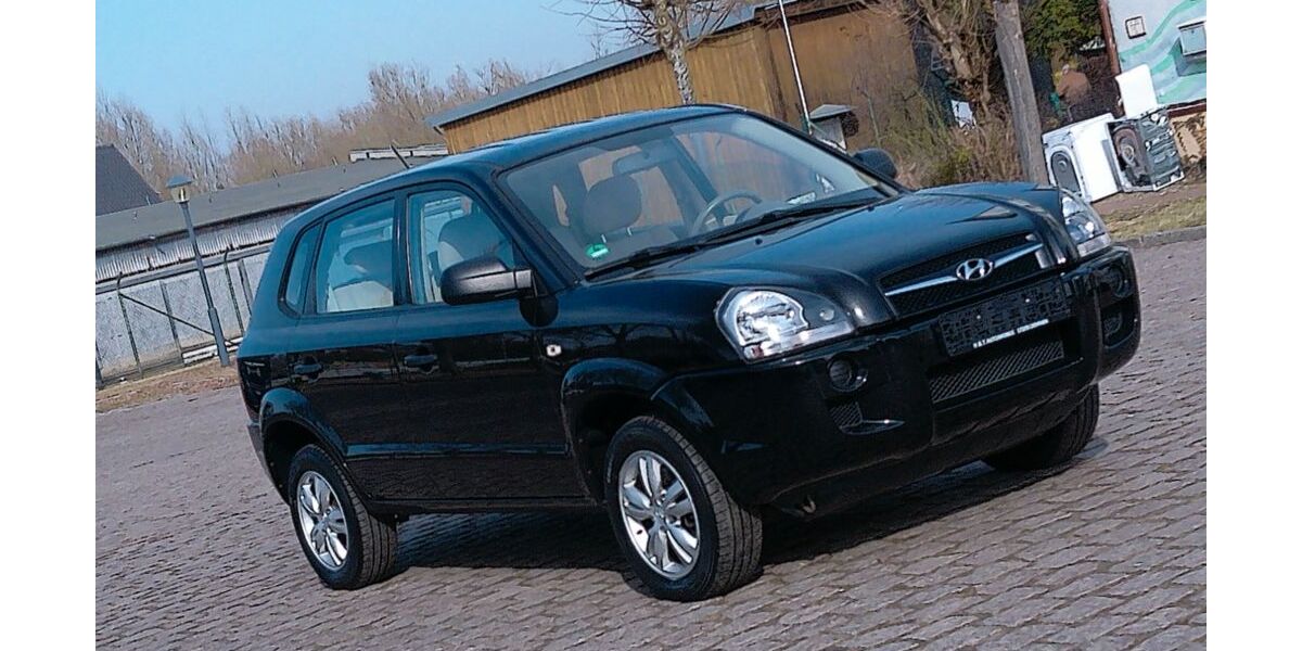 Hyundai TUCSON 123.100 km 6.390 &euro; Demmin 17109