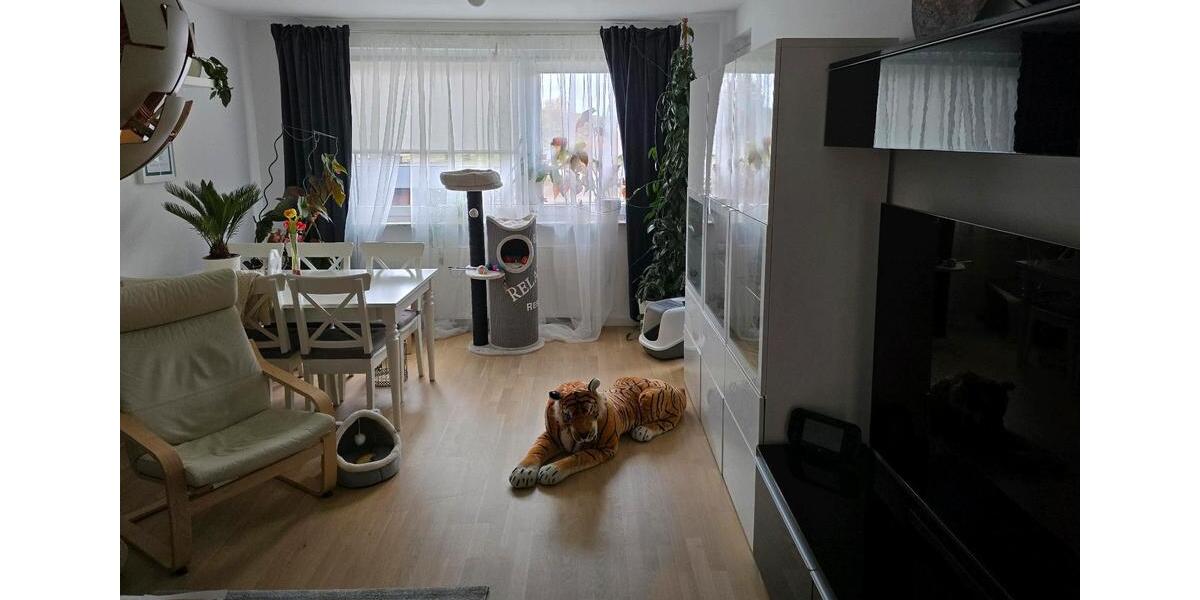 3 Zimmer Wohnung 1.Obergeschoss 3 zimmer