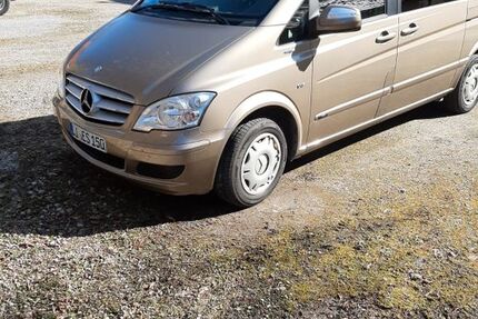 Mercedes Viano