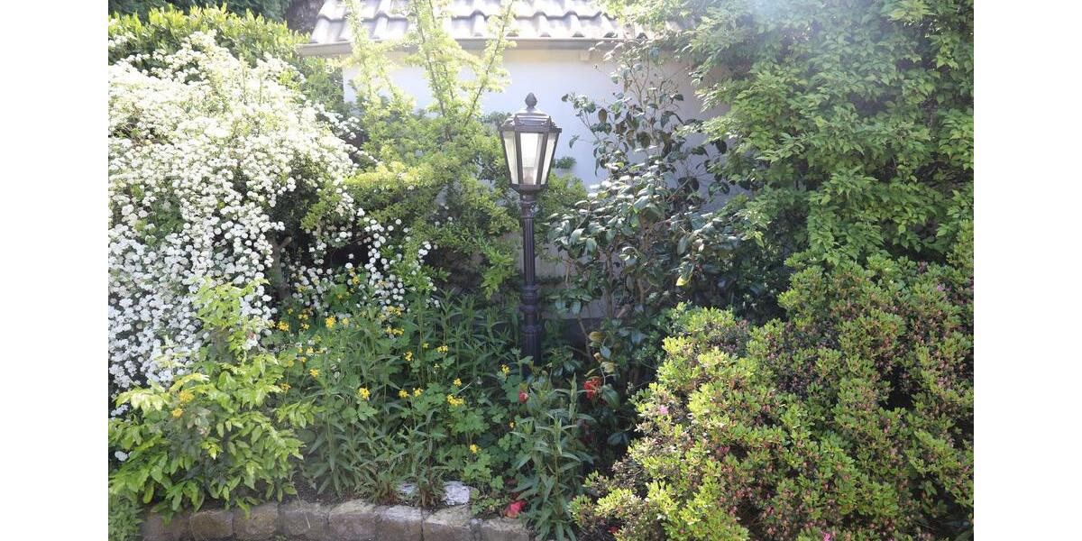 Exklusives Wohnen in Bad Salzuflen 3 zimmer