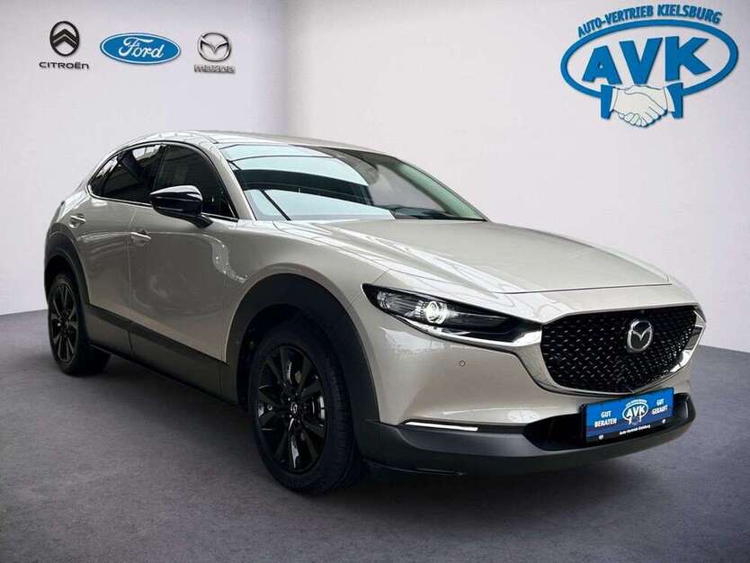 CX-30