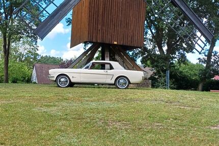 Ford Mustang 72.400 km 22.500 &euro; Wietze 29323