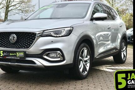 MG HS 44.607 km 19.970 &euro; Leipzig 04318