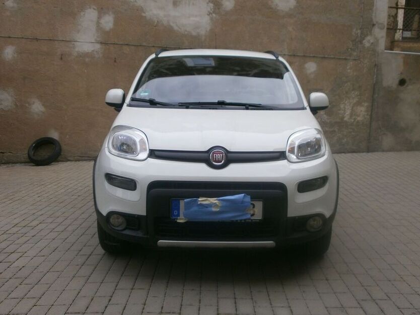 Panda