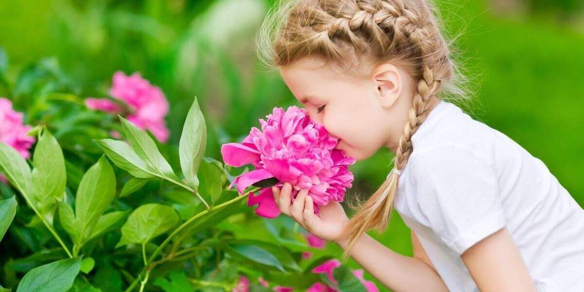 Einfamilienhaus Großröhrsdorf - 3 Zimmer, 106 m&sup2;, 199.879&euro; | Angebot:24634919