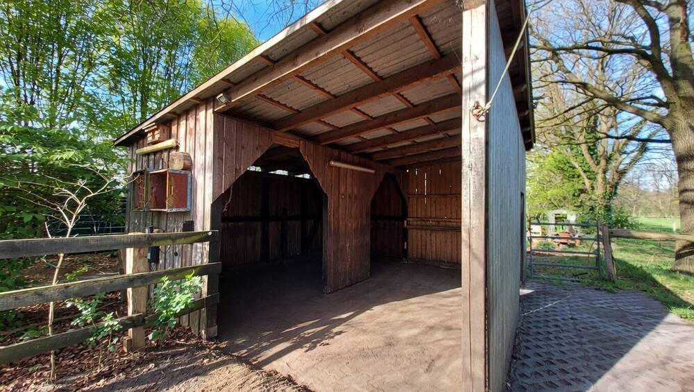 Einfamilienhaus Neuenkirchen Grauen - 5 Zimmer, 200 m&sup2;, 299.000&euro; | Angebot:26359323