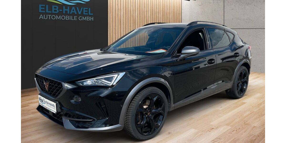 Cupra Formentor 54.670 km 27.990 &euro; Havelberg 39539