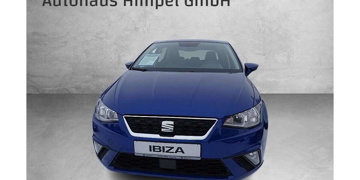 Seat Ibiza 93.500 km 10.500 &euro; Grossschirma 09603
