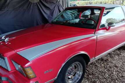 Chevrolet Monte Carlo 96.000 km 16.500 &euro; Büchen 21514