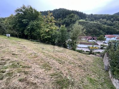 SCHÖNE AUSSICHTEN FÜR EIN GEMEINSAMES ZUHAUSE zimmer
