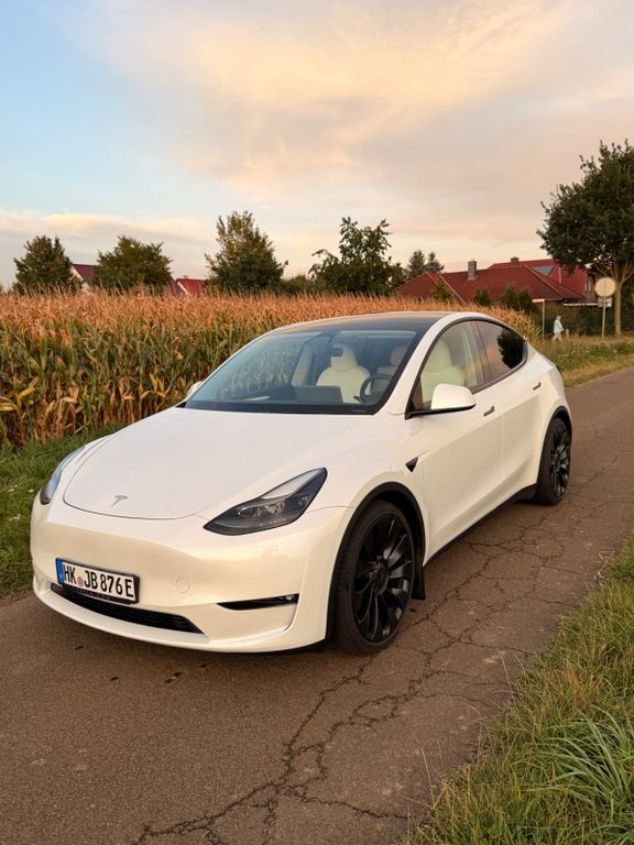 Model Y