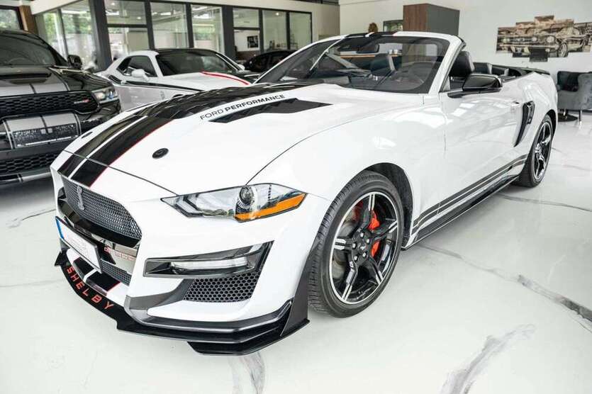 Mustang