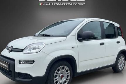 Fiat Panda 12.750 km 11.490 &euro; Bautzen 02625