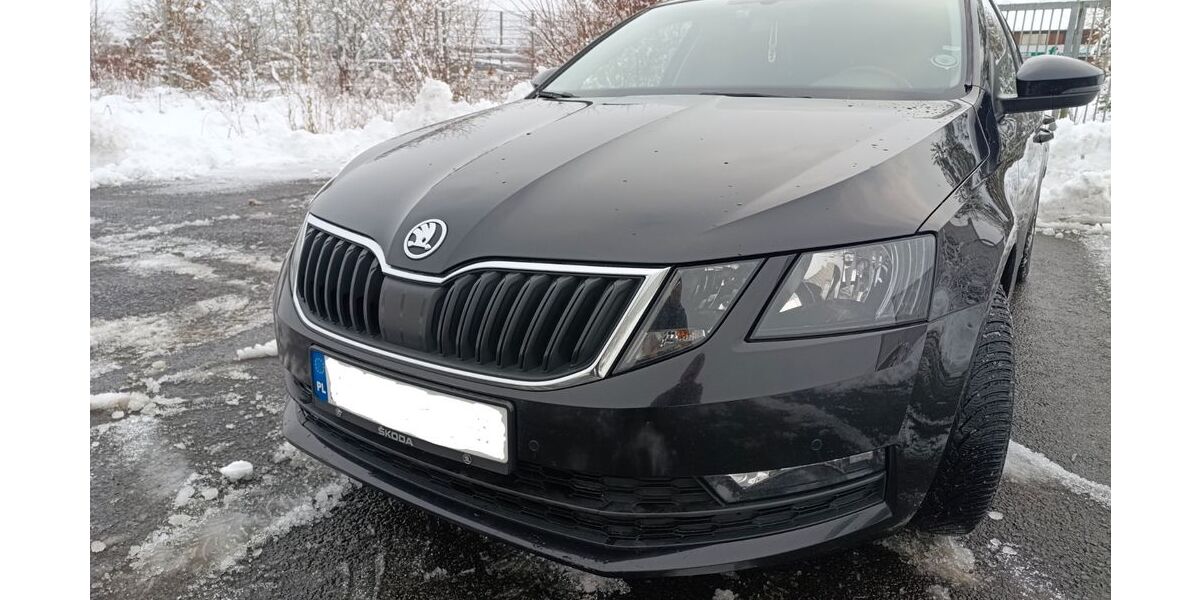 Skoda Octavia 254.000 km 10.000 &euro; Buchholz 21244