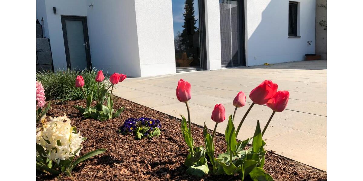 Möblierte Einliegerwohnung mit Terrasse & Garten – ruhige Lage 1 zimmer