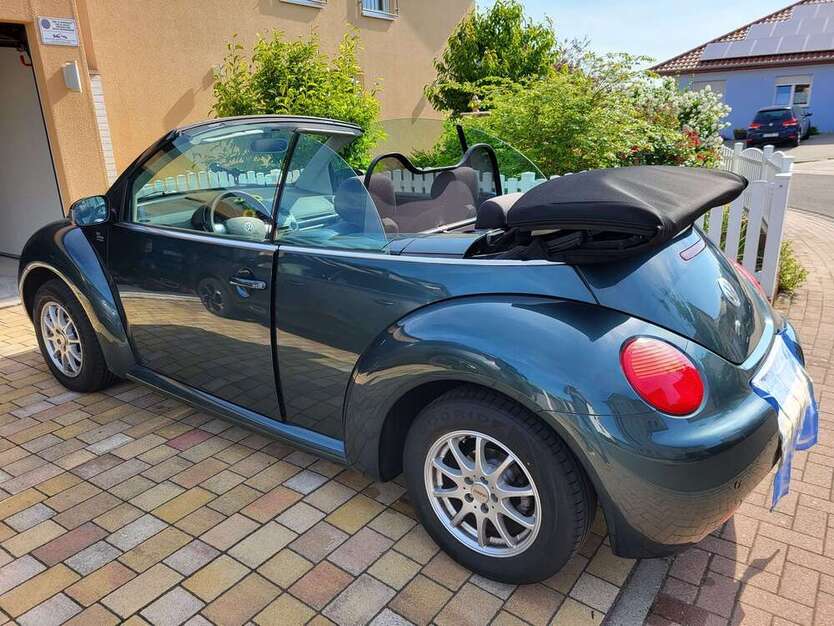 New Beetle