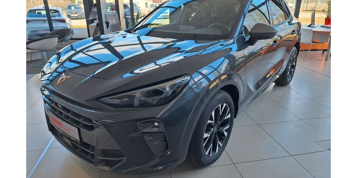 Cupra Terramar 1.650 km 33.990 &euro; Eggesin 17367