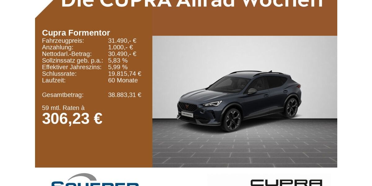 Cupra Formentor 21.917 km 31.490 &euro; Bingen / Rhein 55411