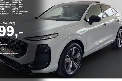 Audi Q3 3.900 km 58.890 &euro; Baden Baden 76532