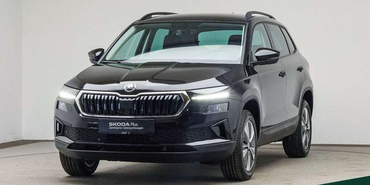 Skoda Karoq 39.400 km 23.688 &euro; Mühlheim a. Main 63165