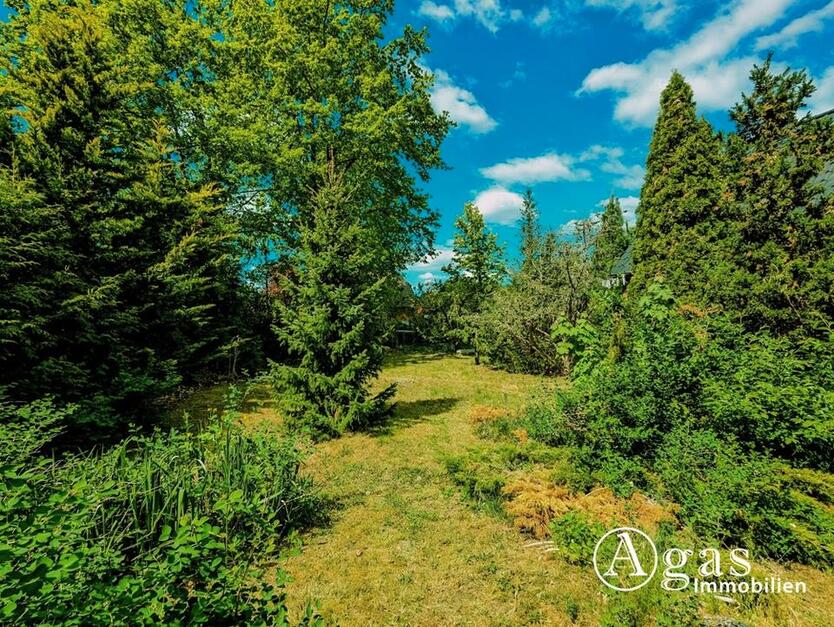 Teilmöbliertes Einfamilienhaus in Bergfelde zur Miete zimmer