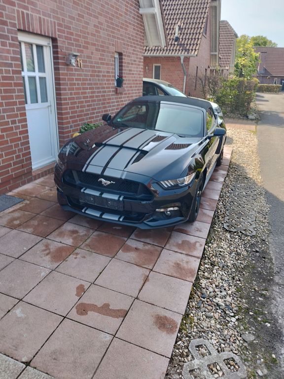 Mustang
