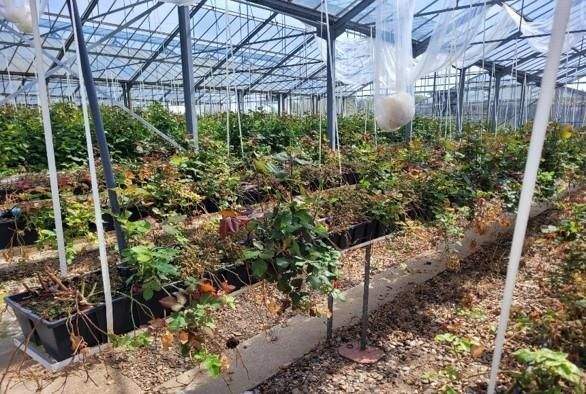 Grundstück Kirchlinteln Bendingbostel - 920.000&euro; | Angebot:25733737