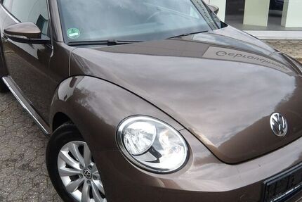 VW Beetle